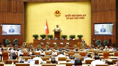 Ngày 19/6, Bộ trưởng Tài chính, Giáo dục và Đào tạo đăng đàn trả lời chất vấn