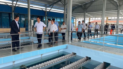 Biwase Cần Thơ đưa vào vận hành Nhà máy nước Cần Thơ 3 công suất 50.000m3/ngày đêm