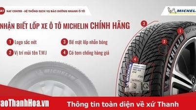 ¿Debería cambiar los neumáticos Michelin de mi Toyota Vios? Perspectiva práctica del Centro NAT