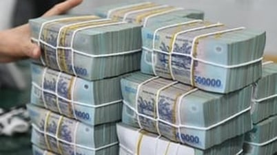 تطبيق الحد الأدنى للأجور الإقليمي في 34 مقاطعة ومدينة اعتبارًا من الأول من يوليو