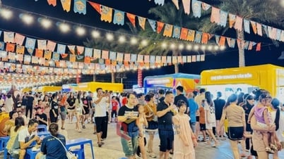 クアンニン省：夏の観光体験を向上