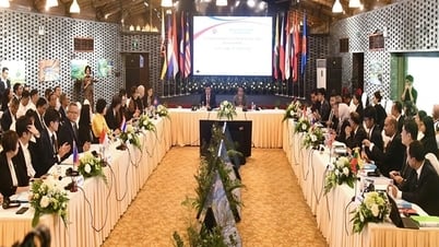 Ban hành quyết định tổ chức, đón đại biểu quốc tế tham dự AMMS 8, SOMS 16 và các hội nghị liên quan tại Việt Nam