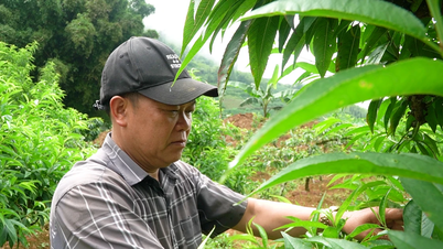 Turn barren land into billion dollar garden