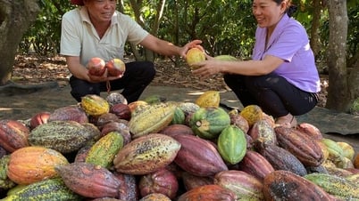ដូច្នេះ កាកាវ​លែង​ជា​«អ្នក​ក្រៅ»​ទៀត​ហើយ