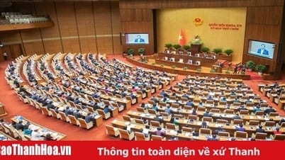 오늘(6월 19일) 오전 국회에서 질의응답 시간이 진행되었습니다.