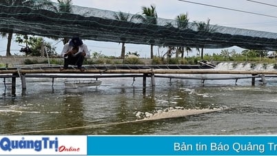 洪水後の養殖生産の回復