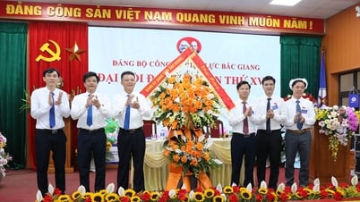 Bac Giang Electricity Company Party Committee held the 17th Congress, term 2025-2030