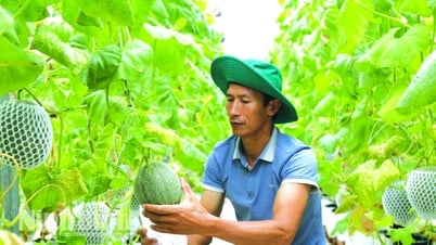 Báo chí góp phần lan tỏa và nhân rộng các mô hình phát triển kinh tế