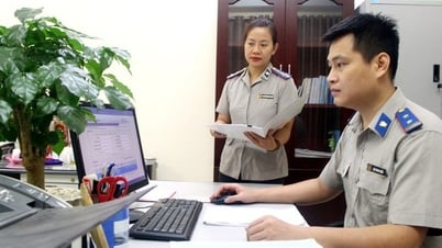 Civil Judgment Enforcement: Promoting Digitalization, Building a Synchronous Legal Corridor