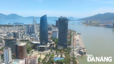 Am 22. Juni fand in Da Nang eine Zeremonie statt, um die Entscheidung des Premierministers zur Einrichtung einer Freihandelszone bekannt zu geben.