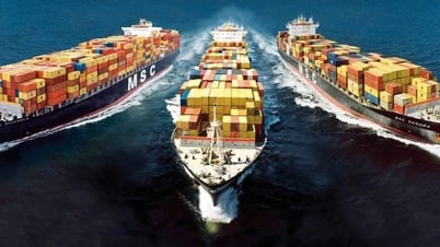 Sea freight rates increase sharply, businesses should consider alternative options