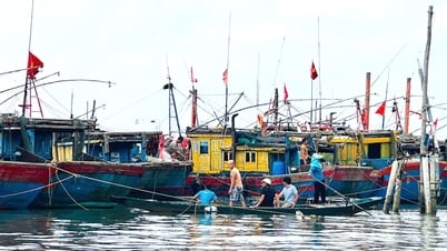 TP. Đồng Hới: Sản lượng khai thác thủy sản tăng trưởng khá