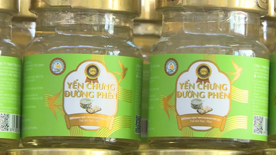 ផ្ទេរ​ករណី​សំបុក​បក្សី​ក្លែងក្លាយ​ចំនួន ២៣.៤៦៨ ពាង ទៅ​ភ្នាក់ងារ​ស៊ើបអង្កេត