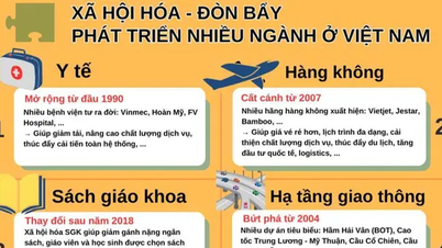 Socialization – The golden key to help many industries in Vietnam make breakthroughs