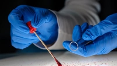 Rectifying forensic and forensic psychiatric assessment activities