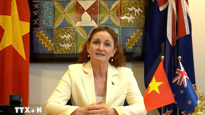 Việt Nam-New Zealand: "Hạt giống" hữu nghị 50 năm trước vươn mình thành đại thụ