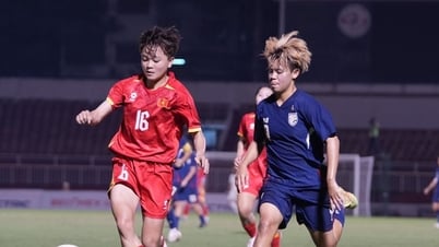 Controversial referee, Vietnam U19 women's team misses out on Southeast Asian championship
