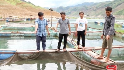 Protect aquaculture areas during the rainy season