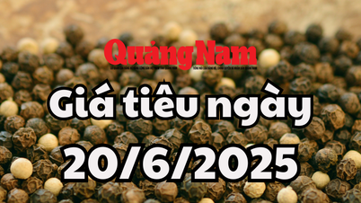 ข่าวสาร คาดการณ์ราคาพริกพรุ่งนี้ 20 มิ.ย. 68 ปรับชั่วคราว