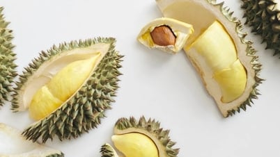 Giá sầu riêng hôm nay 19/6/2025: Thị trường ổn định, sức mua trầm lắng