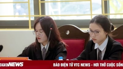 Chỉ 1/3 sinh viên Luật ra trường làm việc đúng ngành