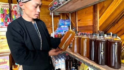 Du lịch nâng tầm, nông nghiệp nâng chất