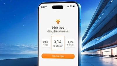 Fast eine halbe Million Nutzer entscheiden sich nach 4 Monaten für VIB Super Yield