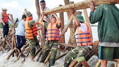 Review plans and proactively deploy response to natural disasters