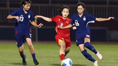 U19 nữ Việt Nam giành ngôi Á quân Đông Nam Á