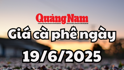 Coffee price today, June 19, 2025 in the country lost the mark of 110,000 VND/kg