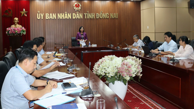 Tỉnh Đồng Nai mới sẽ có thay đổi về quy định tách thửa, hợp thửa, cấp sổ đỏ
