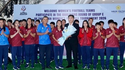 Đội tuyển nữ Việt Nam bước vào giai đoạn cuối cùng chuẩn bị cho Asian Cup 2026