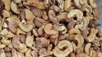 Vietnam spends more than 2 billion USD importing cashew nuts