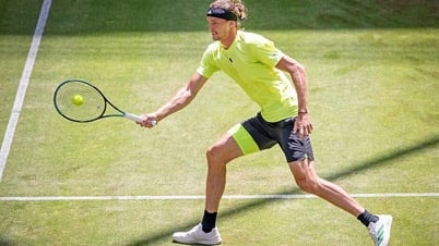 Medvedev, Zverev hẹn quyết đấu Sinner ở Halle Open 2025