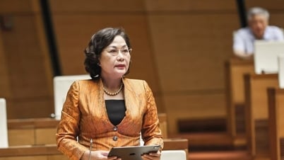 អភិបាលខេត្ត Nguyen Thi Hong៖ ចាំបាច់ត្រូវមានតុល្យភាពប្រភពទុនសម្រាប់គោលដៅកំណើនខ្ពស់។