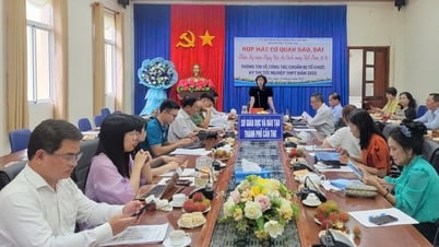カントーでは、高校卒業試験の受験者数が900人近く増加した。