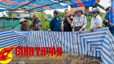 Kỳ vọng mô hình nuôi ếch thương phẩm