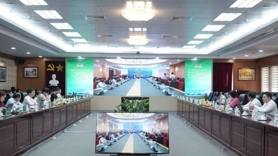 Đảng ủy Chính phủ khảo sát thực tiễn mô hình tổ chức đảng tại Petrovietnam