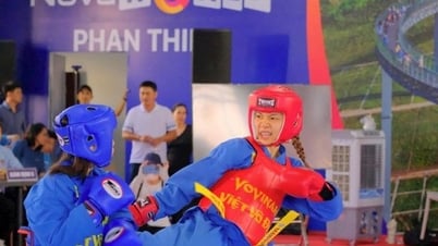 The 2025 National Vovinam Youth Championship attracts more than 700 athletes to participate