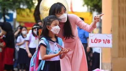 Lương giáo viên TPHCM cao nhất cả nước, có người nhận 400 triệu đồng/năm