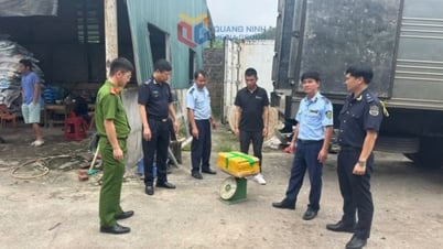  Xử lý hơn 1.460 vụ buôn lậu, gian lận thương mại trong 6 tháng đầu năm