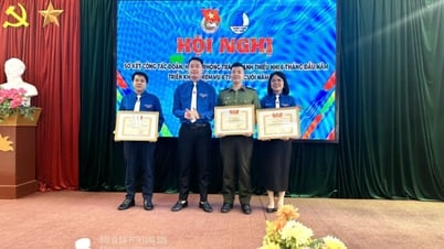 សង្ខេប​សកម្មភាព​សហភាព​យុវជន សមាគម និង​ចលនា​យុវជន​៦​ខែ​ដើម​ឆ្នាំ​២០២៥
