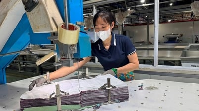 Đầu tư xây dựng nhà máy sản xuất bao bì từ nhựa nguyên sinh