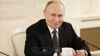 President Vladimir Putin answers questions from Vietnamese press: Russia-Vietnam relations have stood the test of time