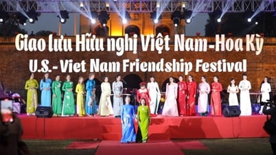 Vietnam - US Friendship Exchange to take place in Da Nang