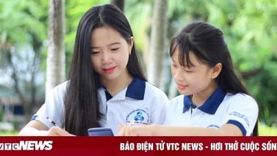 Xếp hạng đại học Việt tăng vọt, có trường lọt top 500 thế giới