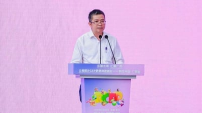 Đại sứ Phạm Thanh Bình dự Lễ hội 'Quảng Tây nhập khẩu trái cây, phát huy vai trò của Hiệp định RCEP'