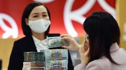 ขาดช่องทางการลงทุนที่น่าสนใจ เงินไหลเข้า...