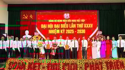 La transformación del Hospital de la Amistad Viet Tiep en un moderno y especializado Hospital Regional de la Costa Norte