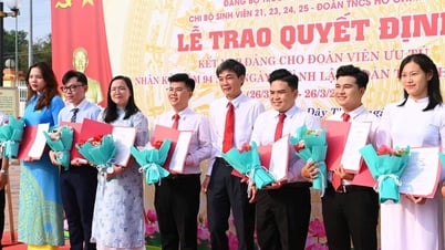 Party development among students